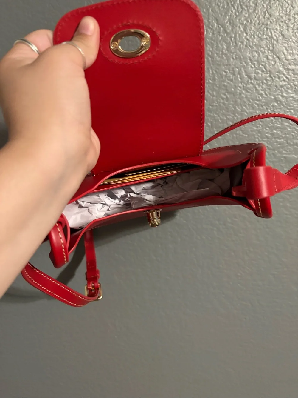 Dooney & Bourke Red Leather Crossbody with Turn-Lock